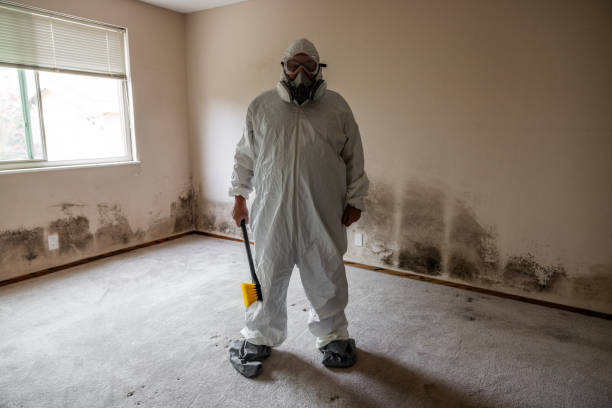 Best Attic Mold Removal  in Farmingdale, NY